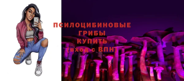 бутират Бородино